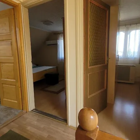 Zoltan Nyaralo זלקרוס